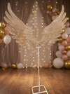 AILES LUMINEUSE - Photo 2
