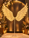 AILES LUMINEUSE - Photo 1