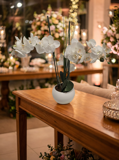 Location ORCHIDÉE PLANTE BLANCHE PETIT MODÈLE
