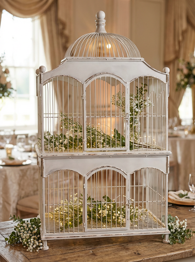 Location CAGE OISEAU BLANC LARGE